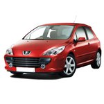 véhicule de marque Peugeot 307 - mecazen