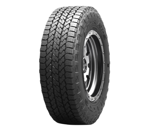 marque de pneu MAXXIS
